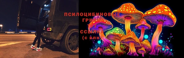 молекула духа Гусиноозёрск