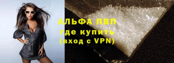 спайс Гусев