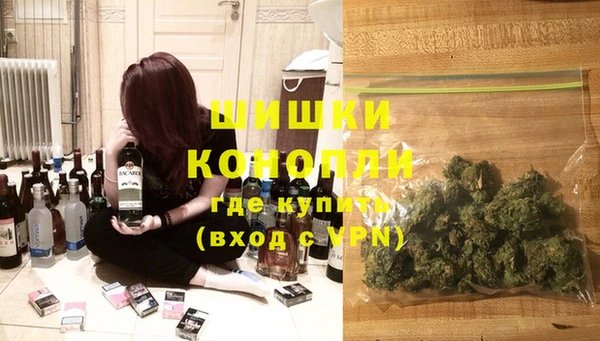 молекула духа Гусиноозёрск