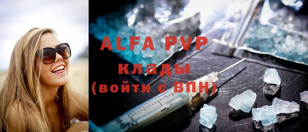 спайс Гусев