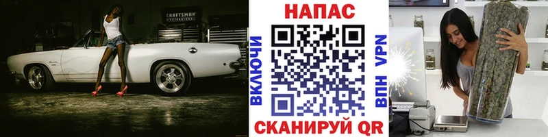 Канабис сатива  Купить закладки  Волоколамск 
